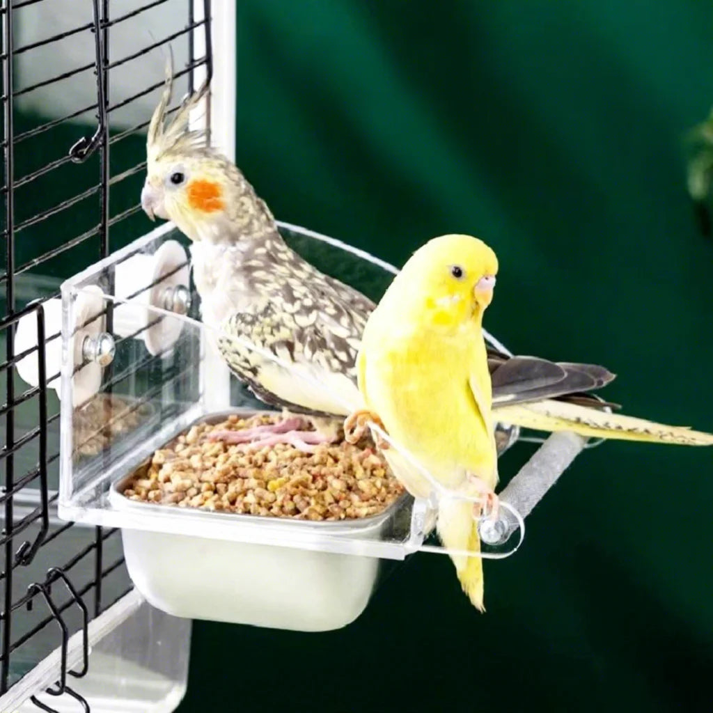 Parrot Stainless Steel Eco-friendly Waterproof Food Box High Color Value Sun Peony Xuan Feng B Hanging Basin Feeder