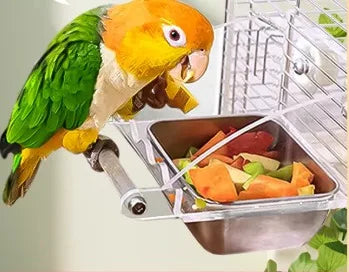 Parrot Stainless Steel Eco-friendly Waterproof Food Box High Color Value Sun Peony Xuan Feng B Hanging Basin Feeder
