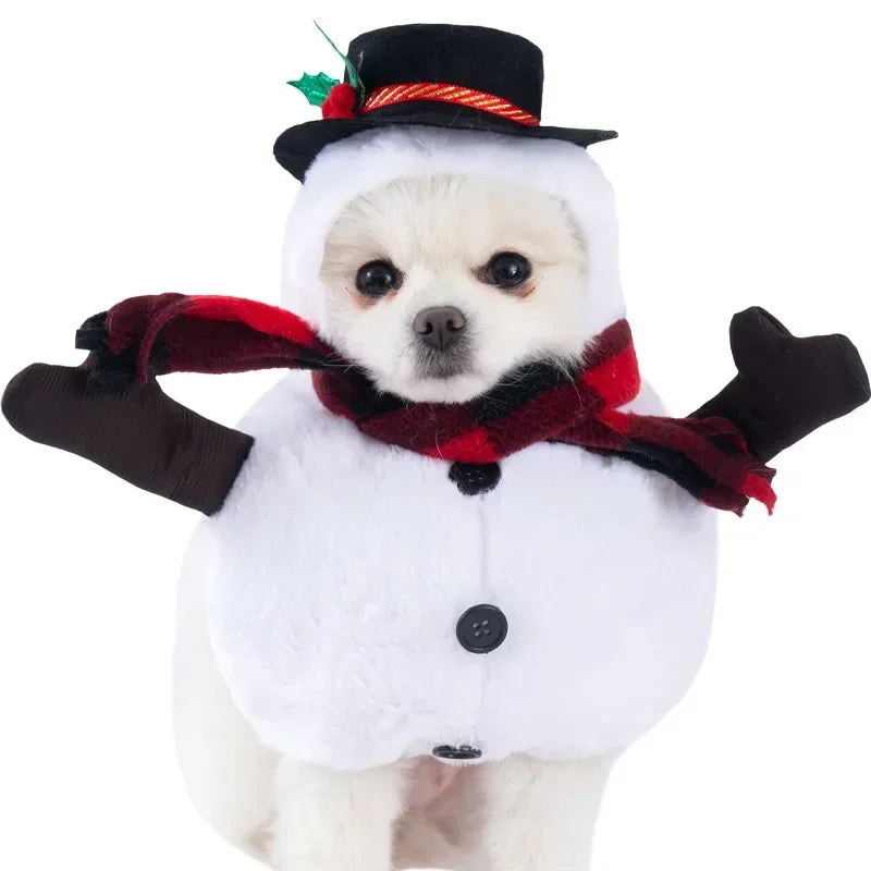 Ropa divertida de Halloween para perros pequeños y medianos, disfraces de fiesta para gatos, Bulldog, Chihuahua francesa, trajes para mascotas