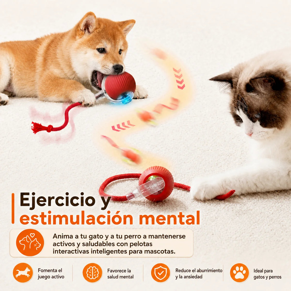 Nuevo juguete interactivo de pelota para perros/gatos, pelota rodante automática recargable, juguete interactivo.