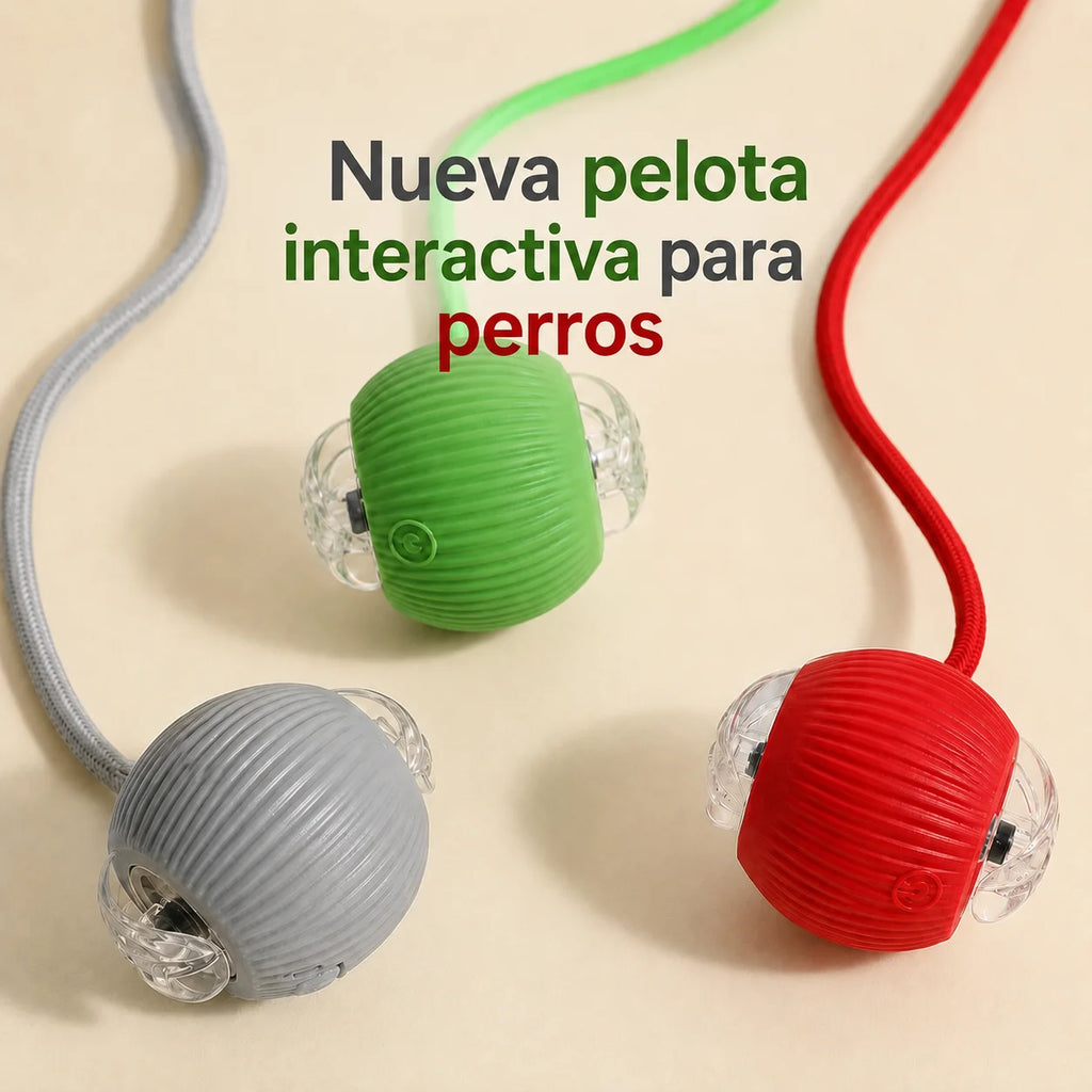 Nuevo juguete interactivo de pelota para perros/gatos, pelota rodante automática recargable, juguete interactivo.