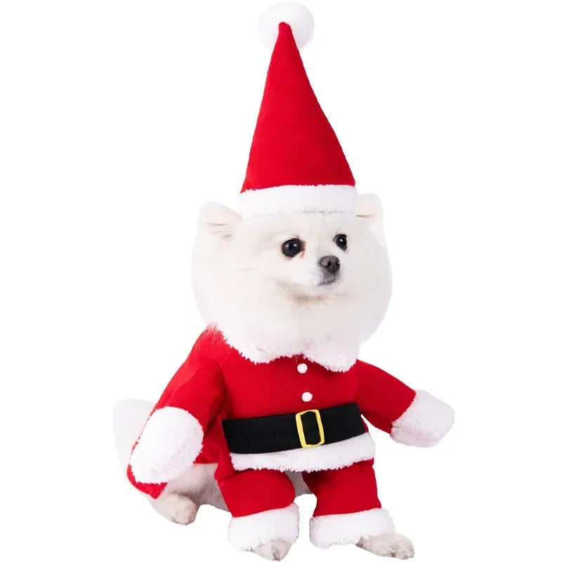 Ropa divertida de Halloween para perros pequeños y medianos, disfraces de fiesta para gatos, Bulldog, Chihuahua francesa, trajes para mascotas