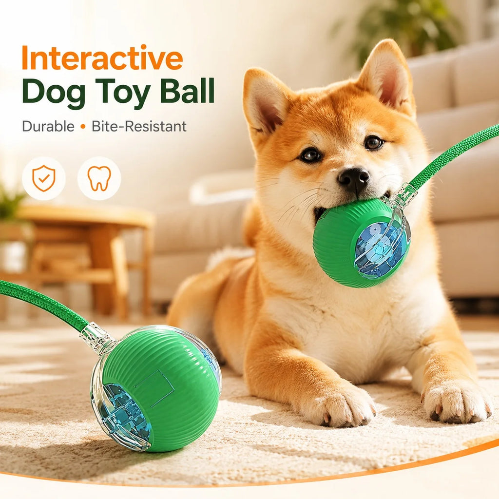 Nuevo juguete interactivo de pelota para perros/gatos, pelota rodante automática recargable, juguete interactivo.