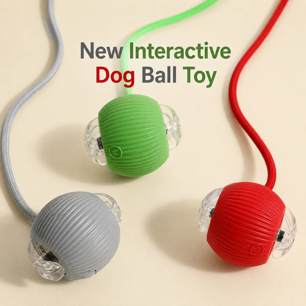 Nuevo juguete interactivo de pelota para perros/gatos, pelota rodante automática recargable, juguete interactivo.